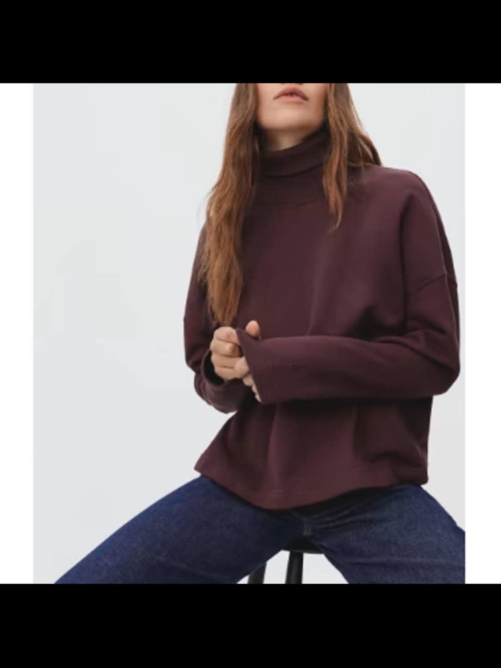 Everlane Wine-Colored Turtleneck Sweater